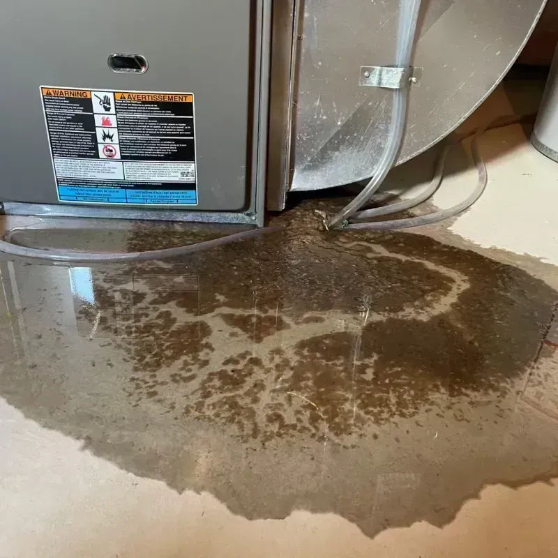 Appliance Leak Cleanup in Gering, NE